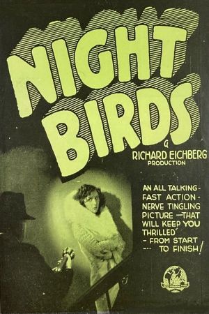 Night Birds's poster