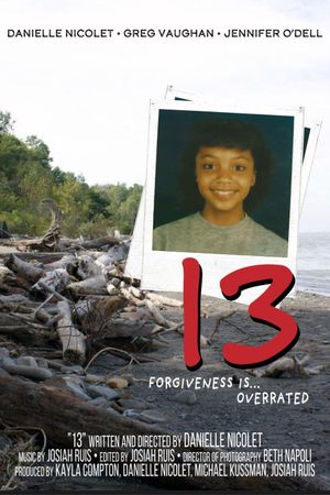 13's poster