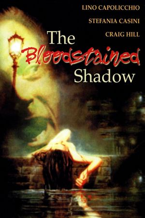The Bloodstained Shadow's poster