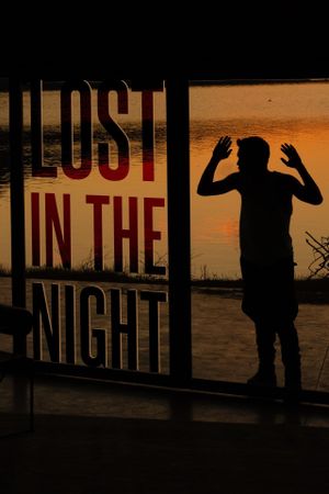 Lost in the Night's poster