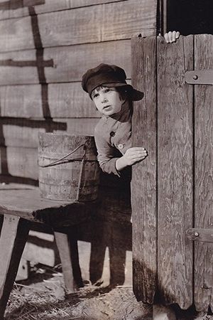 A Boy of Flanders's poster