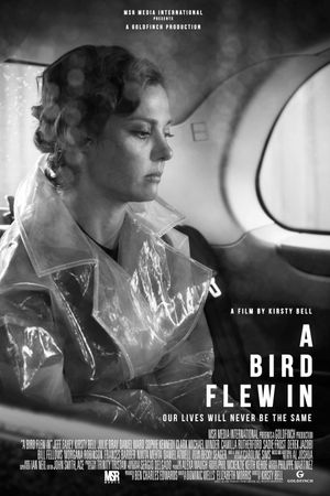 A Bird Flew In's poster
