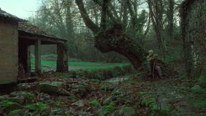 Under the Chestnut Tree's poster