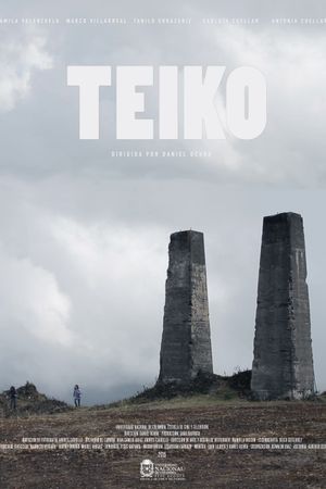 Teiko's poster