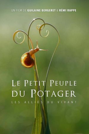 The Marvelous Wild World of the Vegetable Garden's poster