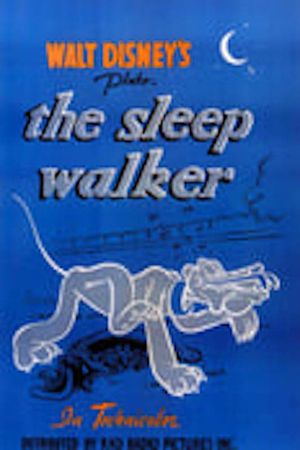 The Sleepwalker's poster