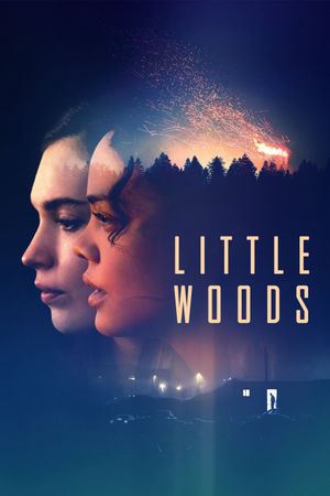 Little Woods's poster