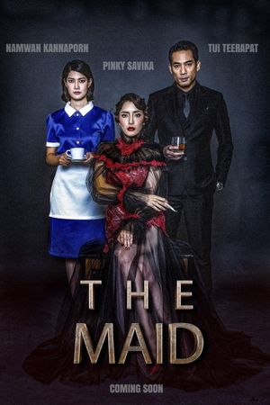 The Maid's poster