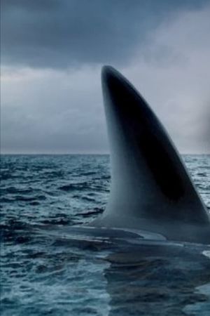 Ocean of Fear's poster