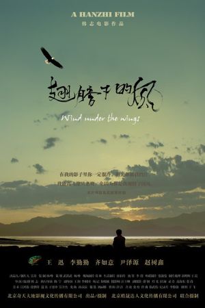 Wind Under The Wings's poster