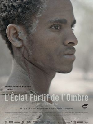 L'éclat furtif de l'ombre's poster