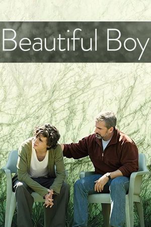 Beautiful Boy's poster