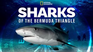 Sharks of the Bermuda Triangle's poster