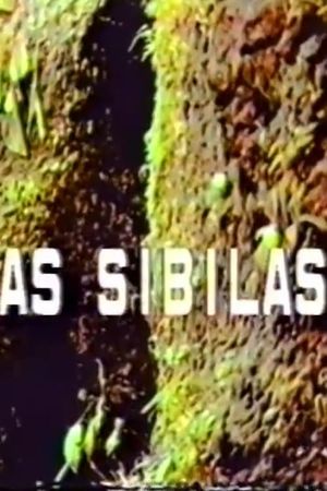 As Sibilas's poster