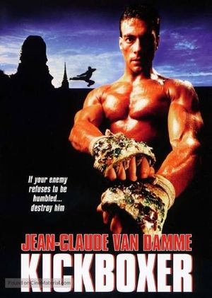 Kickboxer's poster