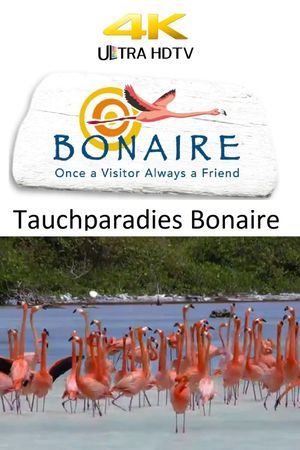 Tauchparadies Bonaire's poster image