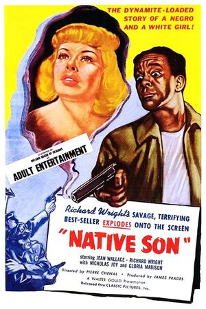 Native Son's poster