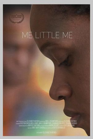 Me Little Me's poster