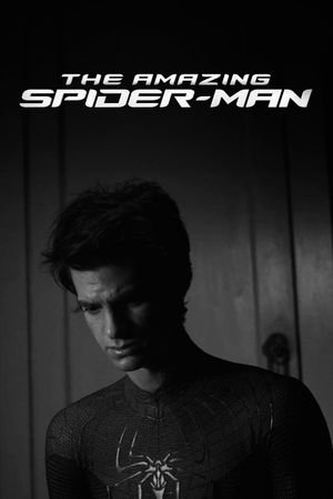 The Amazing Spider-Man's poster