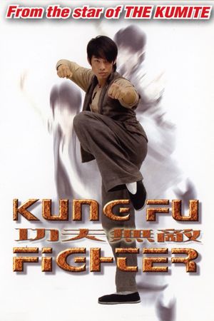 Kung Fu Fighter's poster