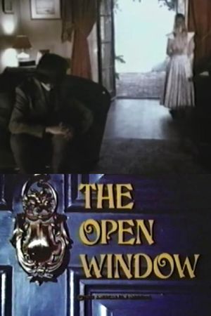 Open Window's poster