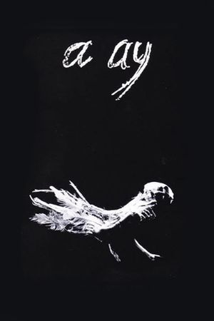 A Ay's poster image