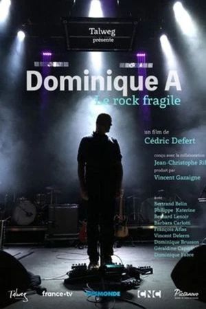 Dominique A, le rock fragile's poster