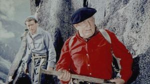 The Mountain's poster