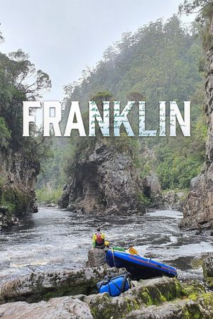 Franklin's poster