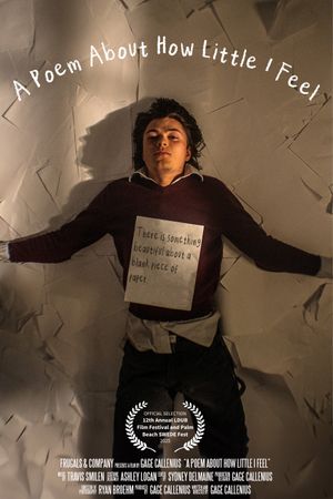 A Poem About How Little I Feel's poster