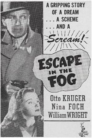 Escape in the Fog's poster