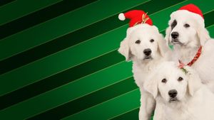 Santa Buddies's poster