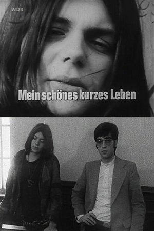 Mein schönes kurzes Leben's poster