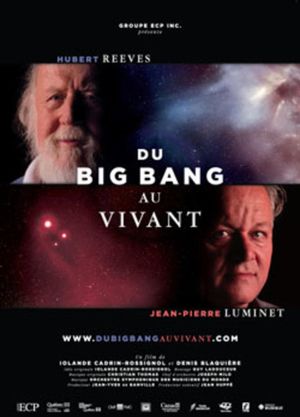 Du big bang au vivant's poster