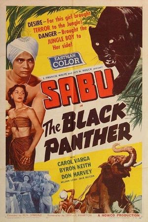 The Black Panther's poster