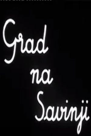The Town by the Savinja River's poster