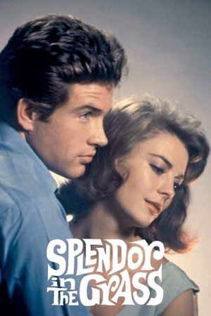 Splendor in the Grass's poster