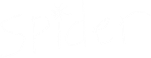 Spider's poster