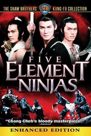Five Elements Ninjas's poster