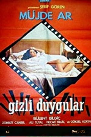 Gizli Duygular's poster