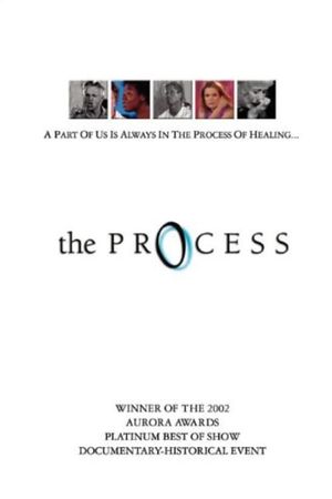 The Process's poster