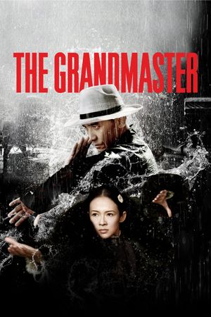 The Grandmaster's poster