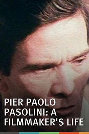 Pier Paolo Pasolini: A Film Maker's Life's poster