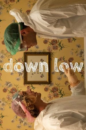 Down Low's poster