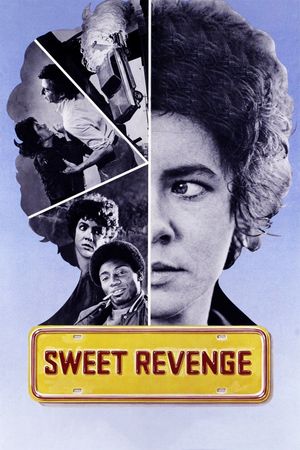 Sweet Revenge's poster image