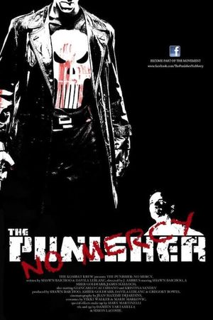 The Punisher: No Mercy's poster