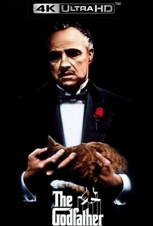 The Godfather's poster