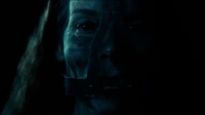 She Will's poster