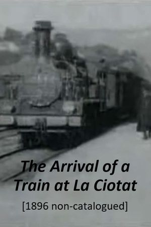 Train Pulling into a Station's poster