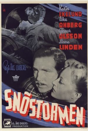 Snöstormen's poster